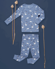 2-teiliger Pyjama Dino