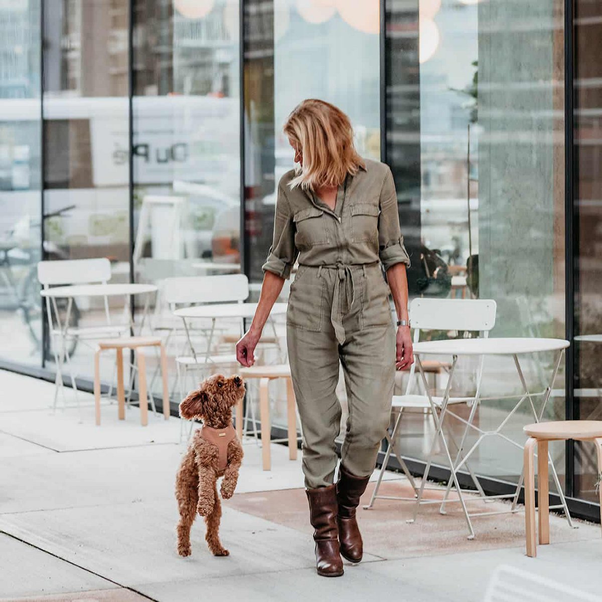 Arnés suave para perros Camel
