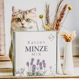 NE & NO® REFT GAT CATS Bell -Being Herbs: Catnint + Valerian Spray + Matatabi Sticks