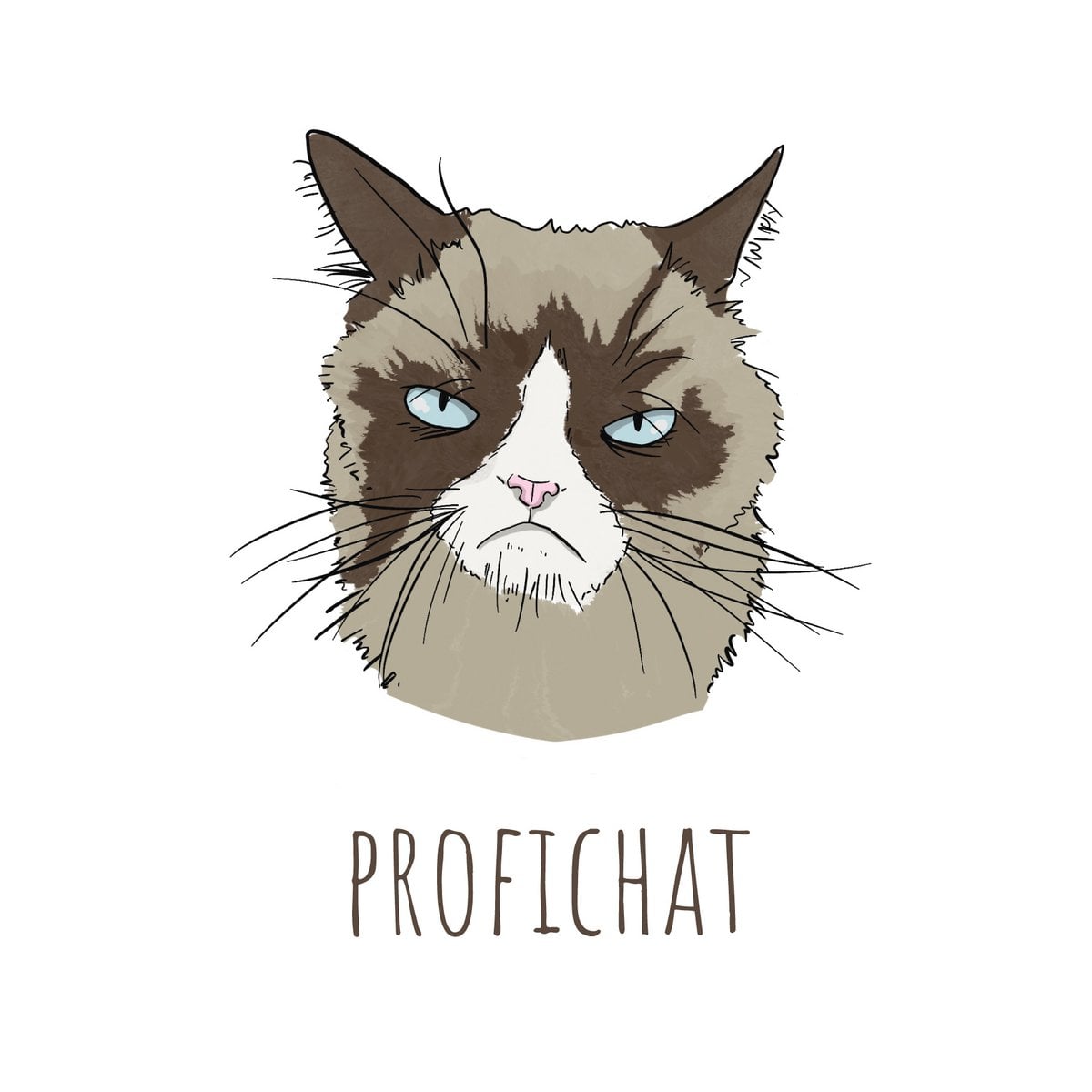 ProfiCHAT!