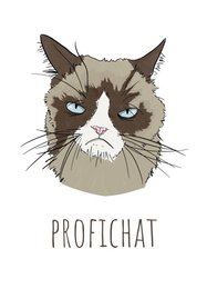 ProfiCHAT !