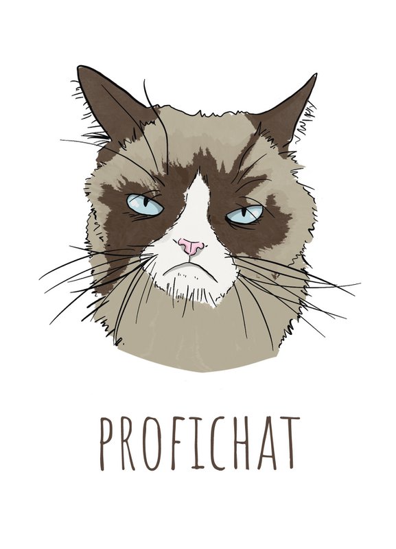 ProfiCHAT!