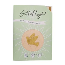 Gift of Light  | Display