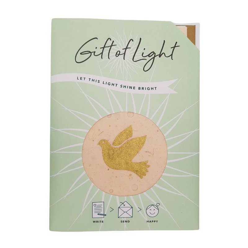Gift of Light  | Display