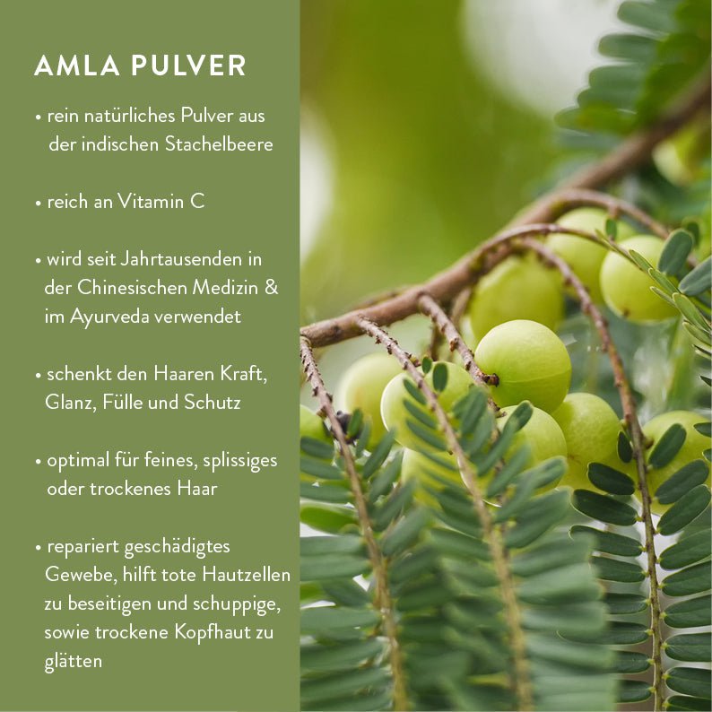 Champú y acondicionador de cosmética natural ecológica en polvo con botella de cristal de recambio