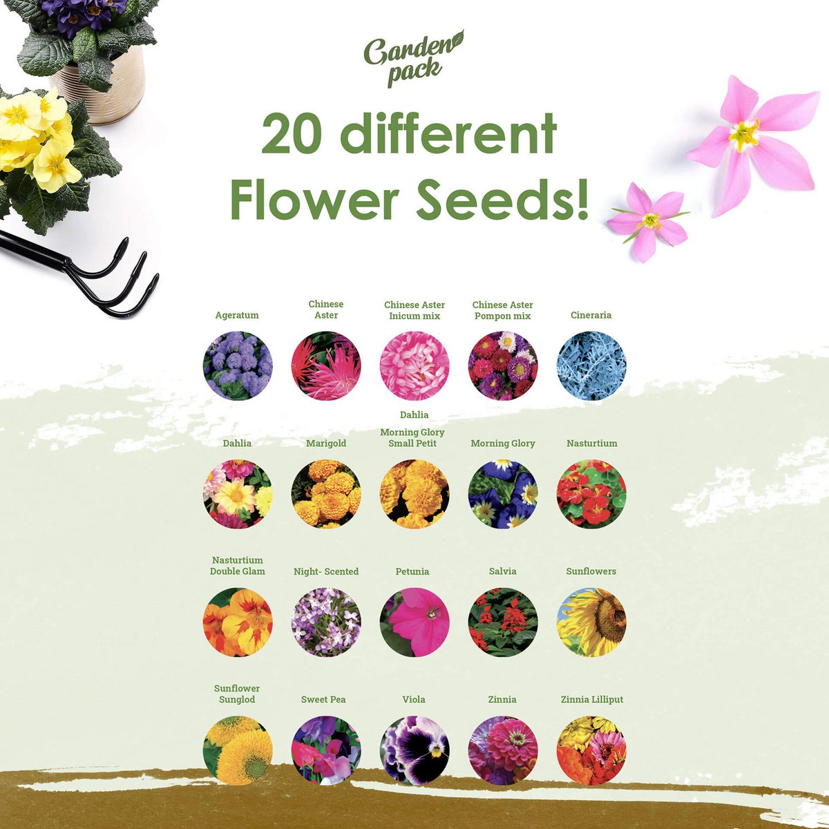 Grow Your Own 100 Seed Box