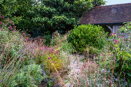 Ich träume von einem Cottage Garten. Verliebt in Rittersporn, Phlox & Fingerhut