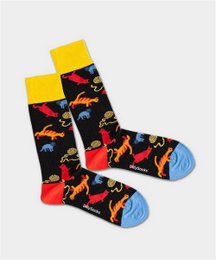 Crazy cat-themed socks with vibrant colors and playful cat designs. Available in sizes 36-40 and 41-46.