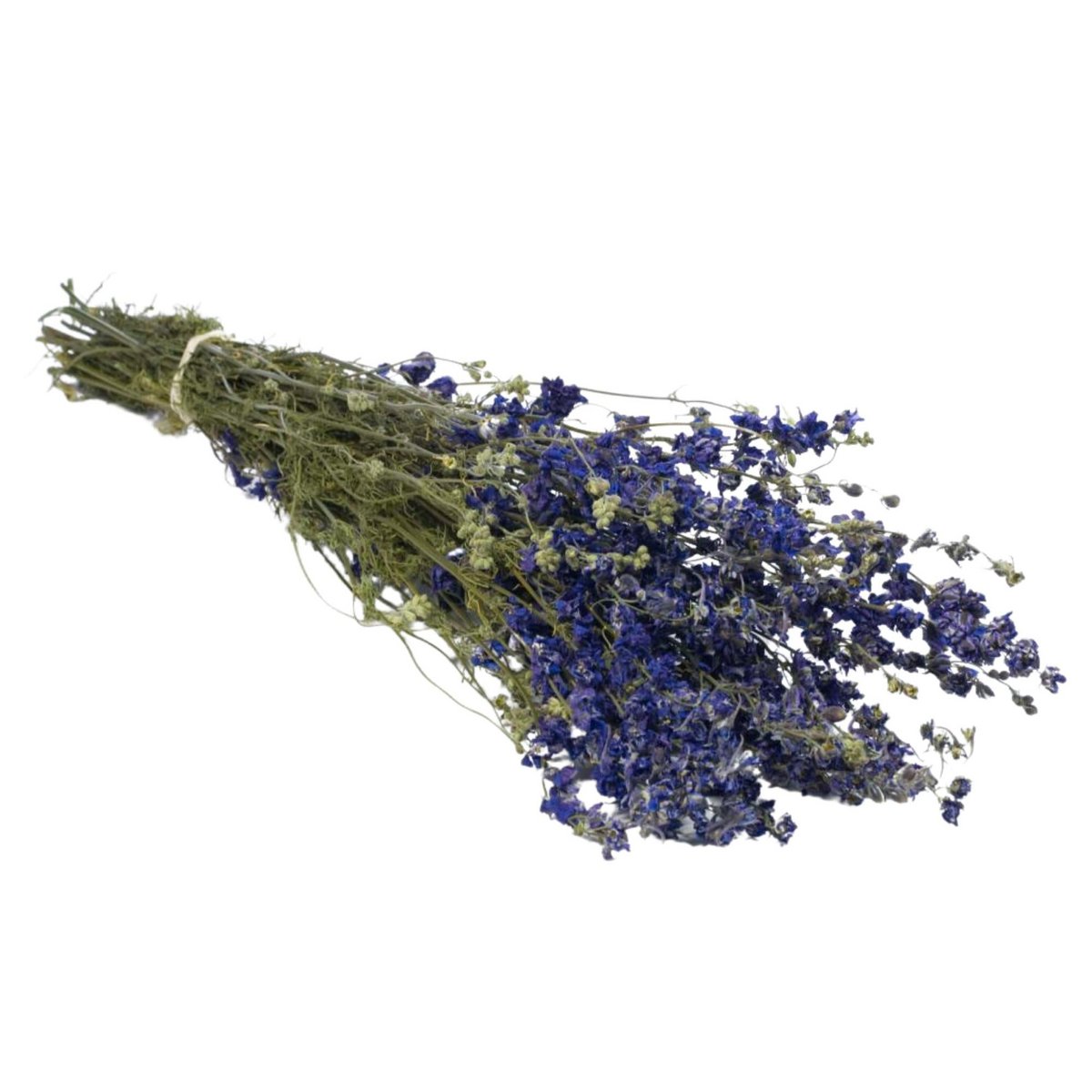 Getrocknete Blumen - Delphinium Naturblau
