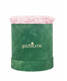 Velvet Green Collection