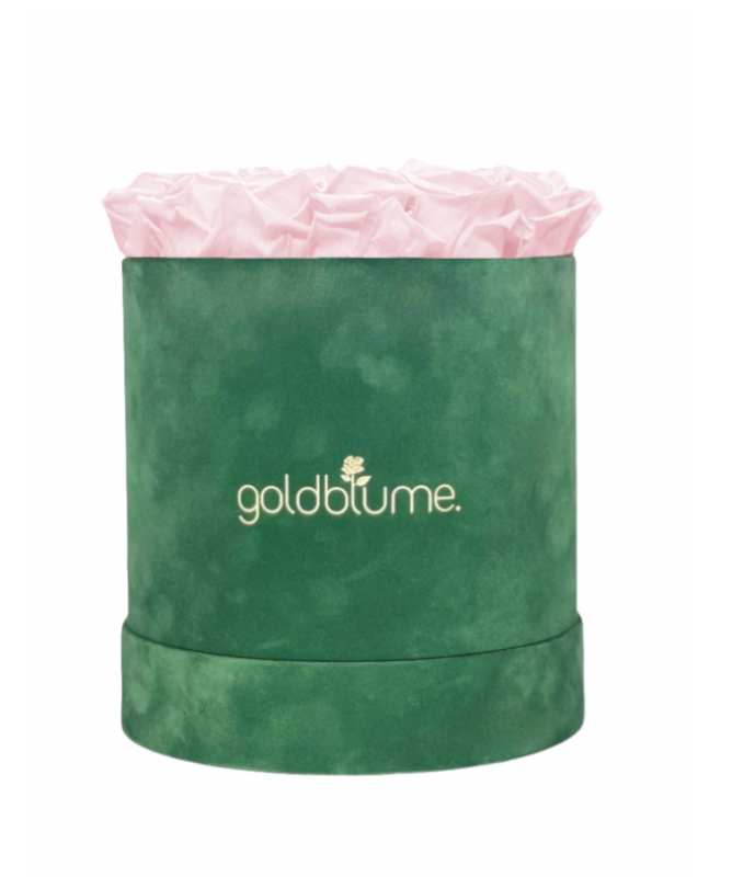 Velvet Green Collection