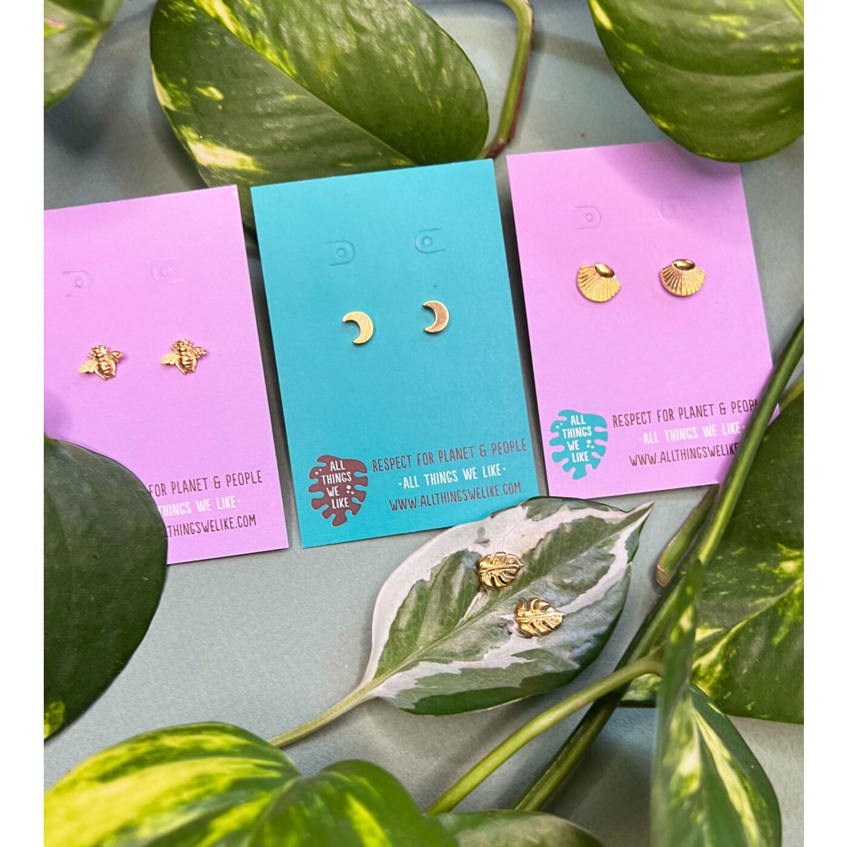 Monstera golden studs