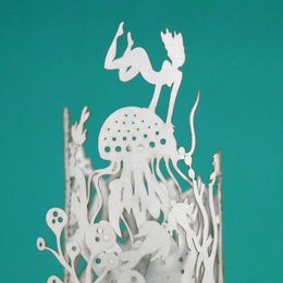 der Wassergarten (Mini-Ausgabe)