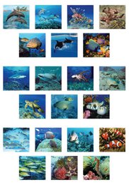 Visor 3D - Animales marinos