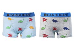 Pack de 2, pantalones cortos, Dinosaurier