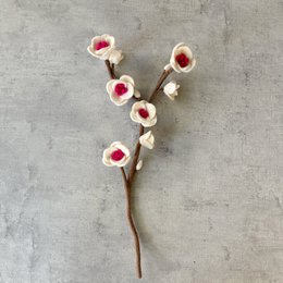 Fiore di ciliegia grande rosa bianco