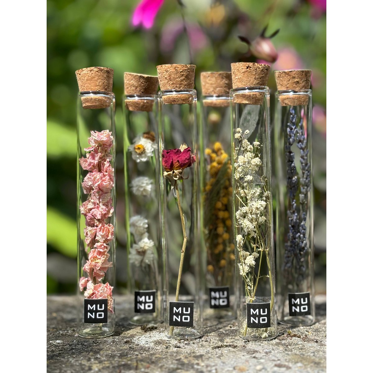 TUBE 15 CM WITH DRIED FLOWER - Gift
