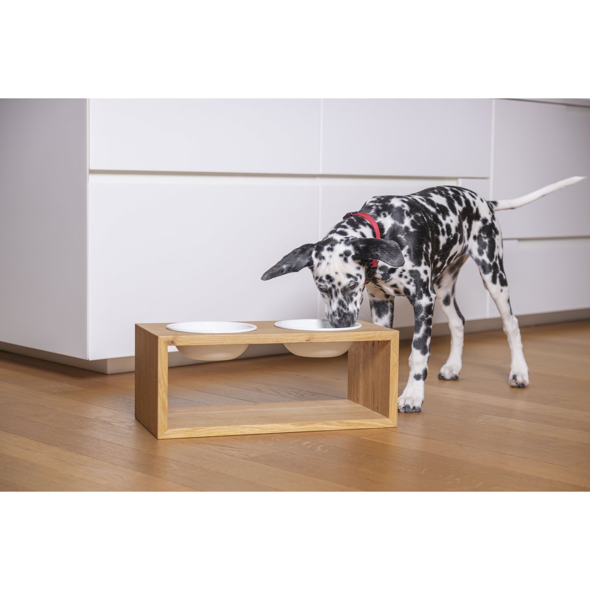 Kubus, dog & cat feeding stand