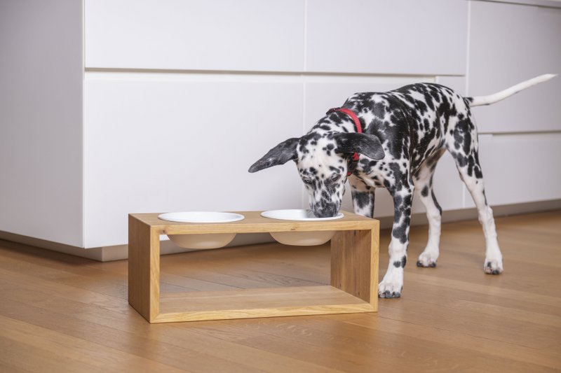 Kubus, dog & cat feeding stand