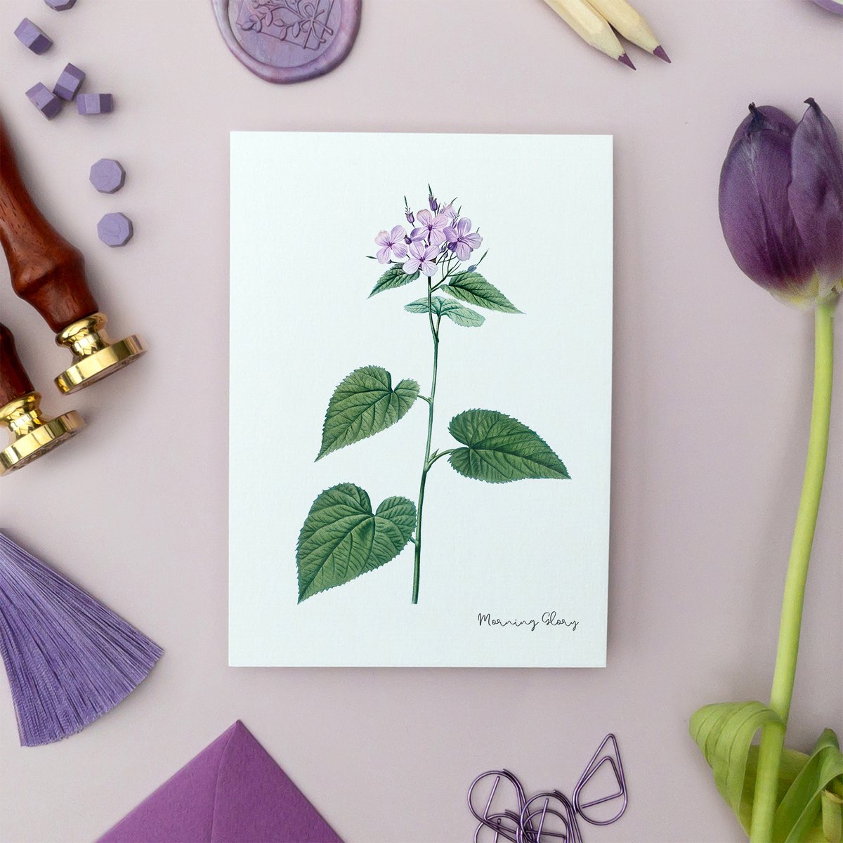 Lilac Pack - Handmade Postcards A6 with Envelope - Botanical Vintage