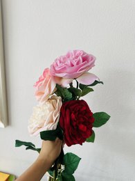 QMF Mano Toque Rosa 65cm Púrpura 1 UD