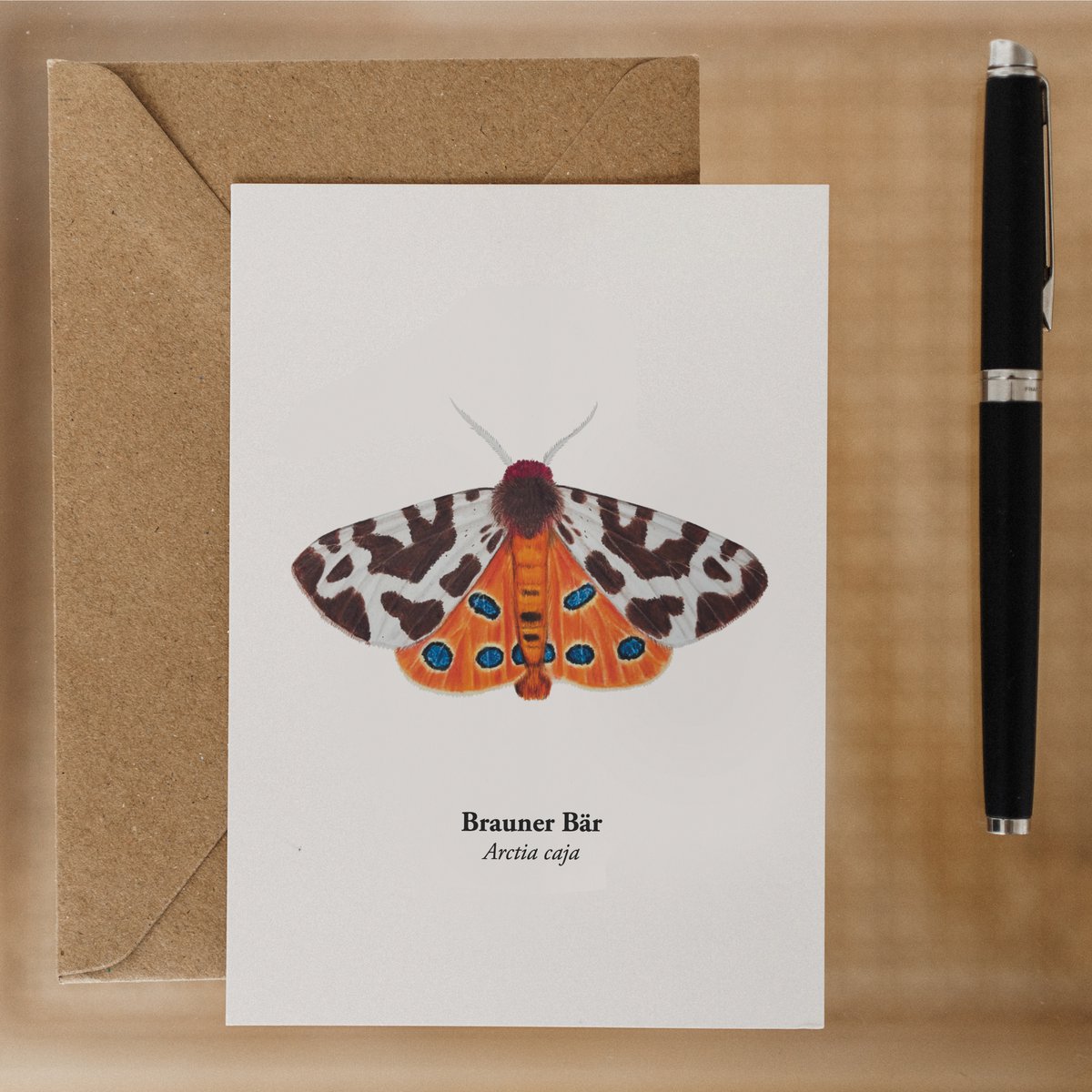 Postkarte Nachtfalter – Brauner Bär (Arctia caja), Miniprint A6
