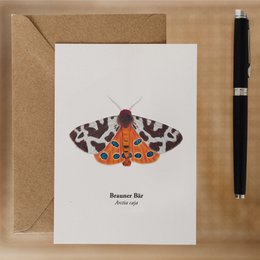 Postcard Nachtfalter - Brauner Bär (Arctia Caja), Miniprint A6