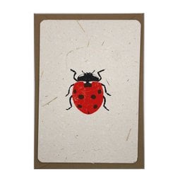 Vibrant red ladybug poster with intricate details, available in multiple sizes to suit any space.
