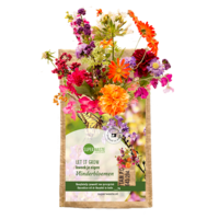 Grow your own butterfly flowers - sustainable nursery garden in recycled bag