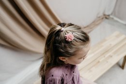 Setje haarspeldjes - Voorjaar/Lente 18