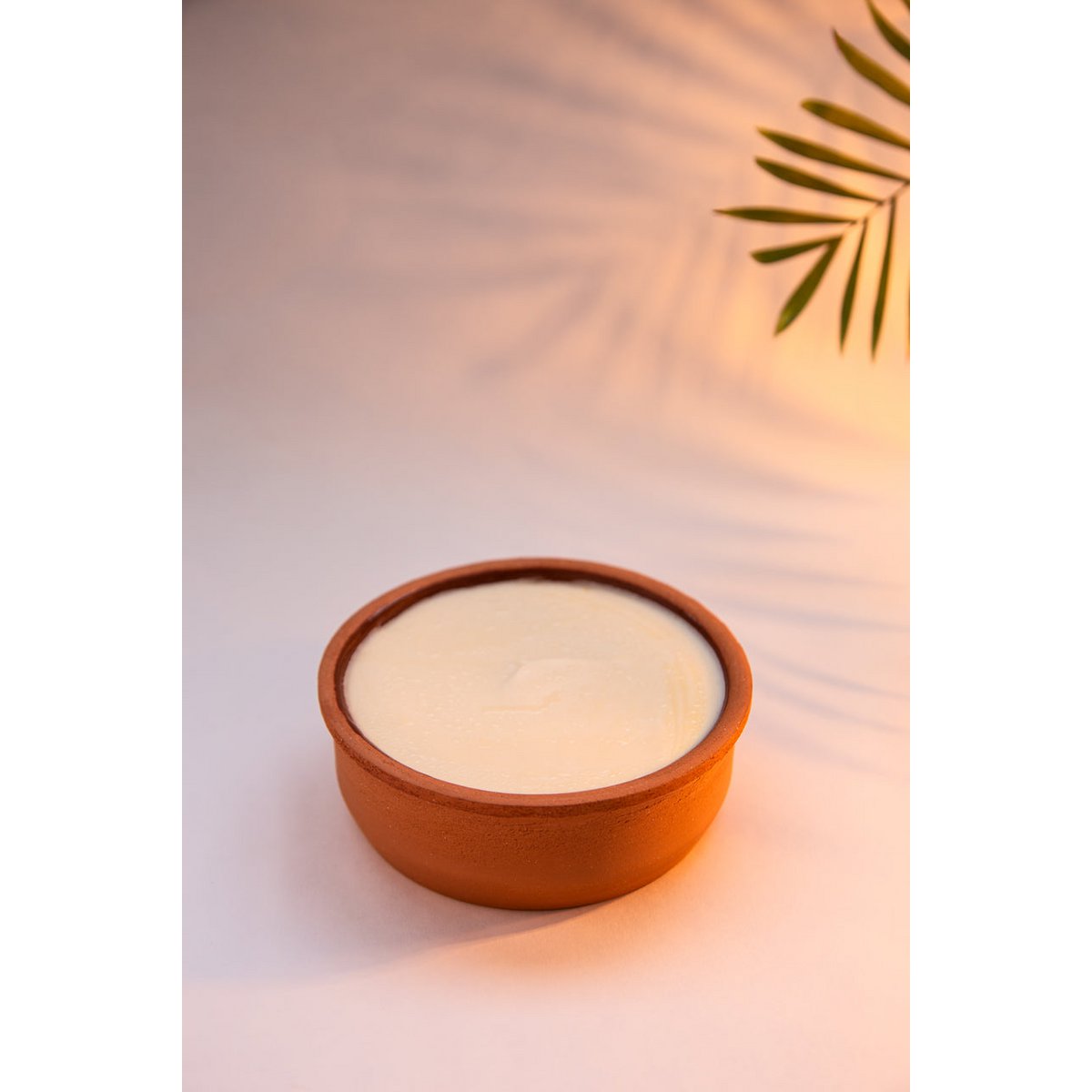 Pot de savon à vaisselle écologique
