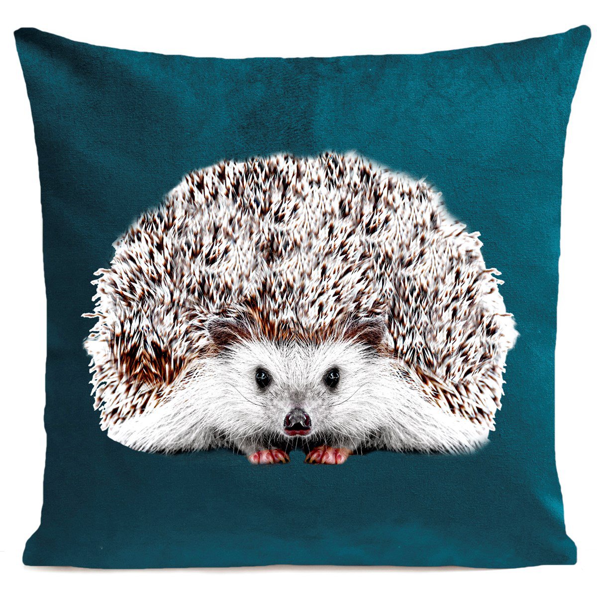 Coussin campagne, Picou