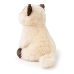 BTC - Eddie le Siamois en boà®te cadeau - 17 cm -