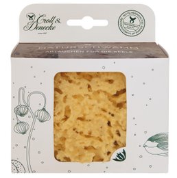Natural sea sponge in eco gift box, medium. Soft, porous sponge made from natural sea materials. Ideal for bathing, cleaning, and exfoliating.