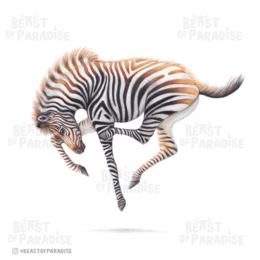 Puledro zebra - Biglietto d'auguri, 13 x 13 cm, fauna selvatica, cartoline