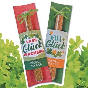 Glass of lucky clover in test tube VE 12 so