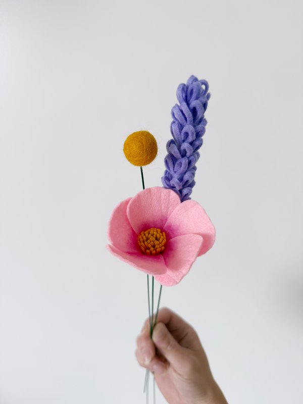 Feltbloem cosmea pink