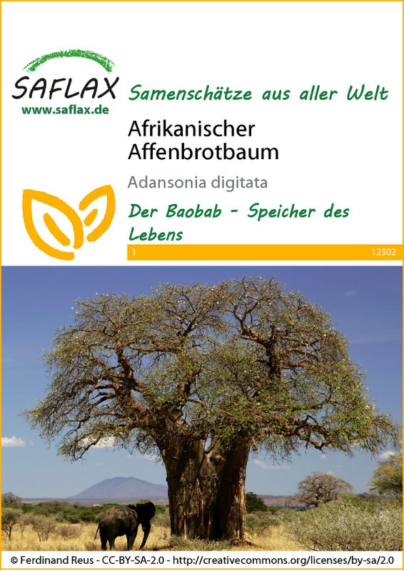 Afrikansk abebrødtræ