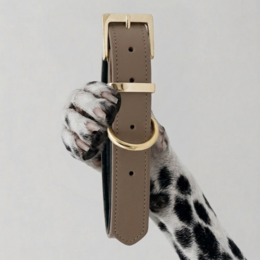 CHURCHILL-HALSKETTE. Kaffee – Hundehalsband aus veganem Leder