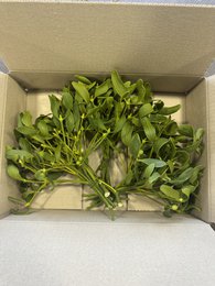 Caja Navideña Muérdago – Natural (8 paquetes(25x35x8cm) de 3 manojos)