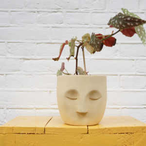 Unique Handcrafted Ceramic Face Planters Natural Clay And Glazes - Patty Plant Pot Yellow