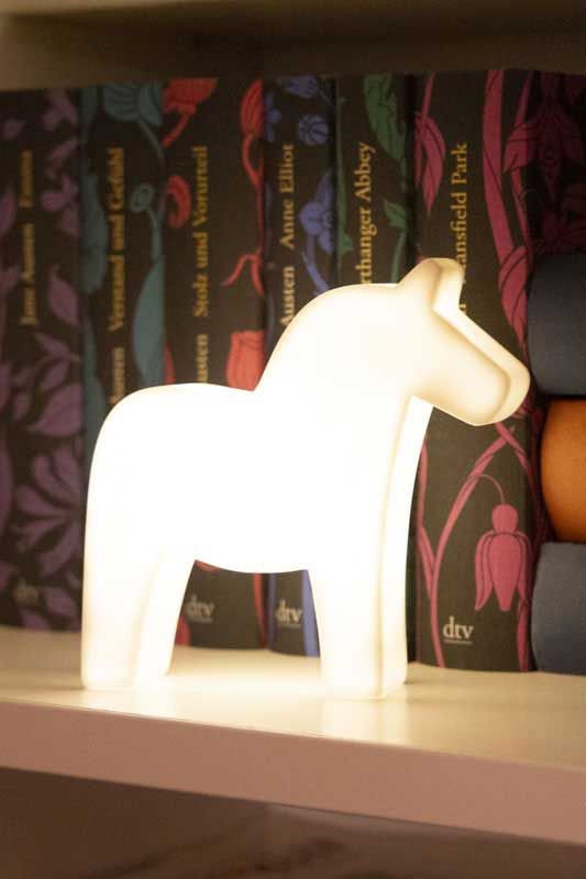 Shining Horse USB-C