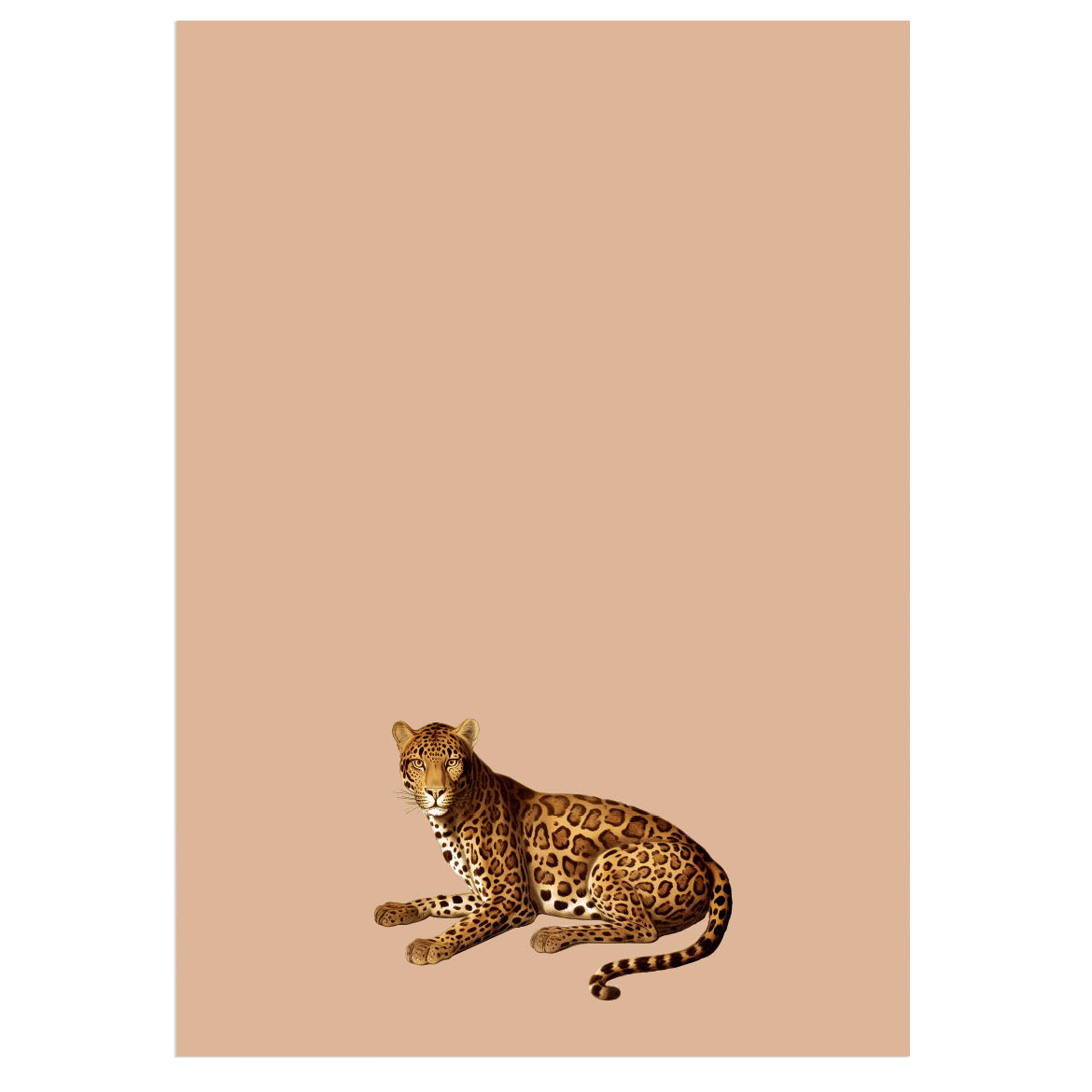 Notepad A5 Leo