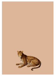 Notepad A5 Leo