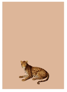 Notepad A5 Leo