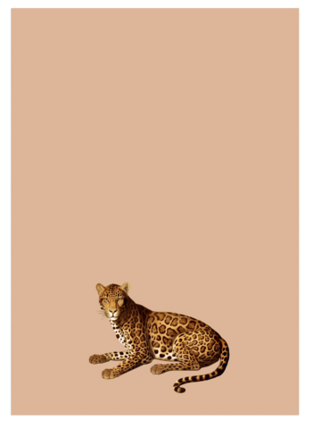 Notepad A5 Leo