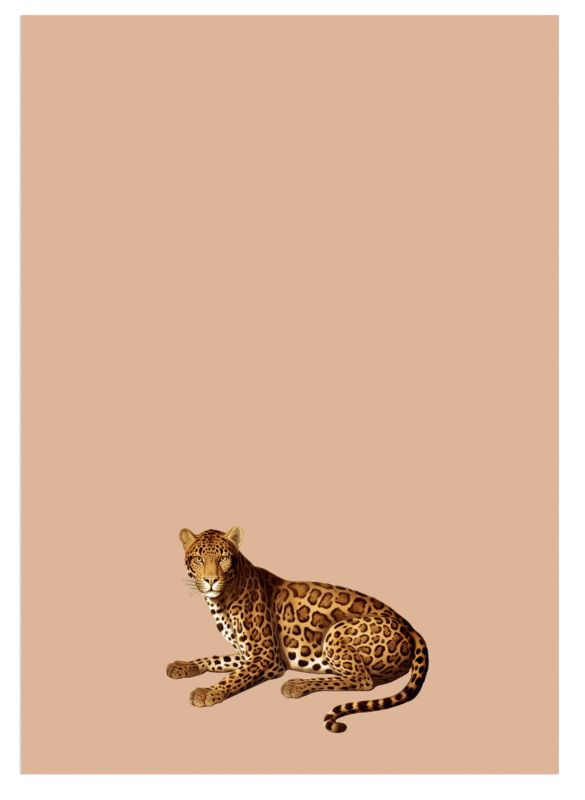 Notepad A5 Leo