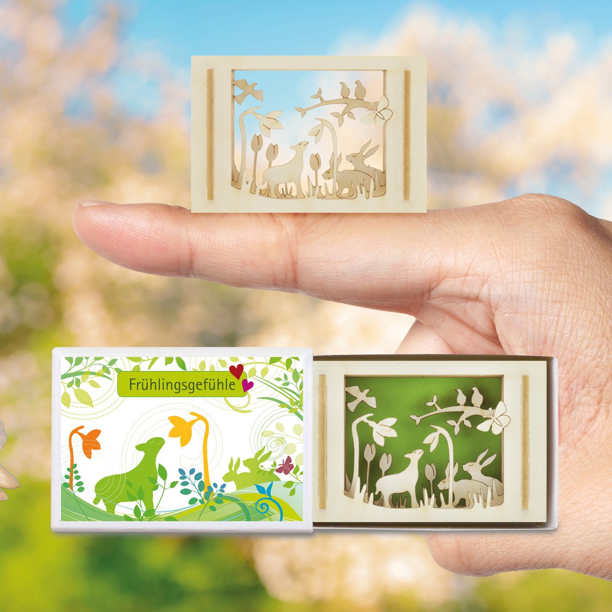 Frühlingsgefühle-Silhoubox S – Geschenkartikel