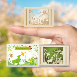 Frühlingsgefühle-Silhoubox S – Geschenkartikel