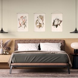 Set de póster textil Aves de Australia 43x30 cm - Paños de pared